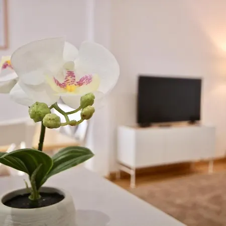 Apartman Akicity Santos Sunrise *